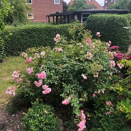 Appartement Unser Kleine Gemutliche Wohlfuhloase Wilhelmshaven